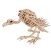 Aasgeier Tierskelett -Grusel Dekor Geschaft aasgeier skelett geier skelett vulture skeleton halloween deko 39349 01