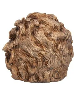 Albert Einstein Totenschädel 21cm -Grusel Dekor Geschaft albert einstein totenkopf albert einstein totenschaedel albert einstein skull 54562 04