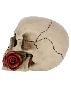 Beiger Totenschädel Mit Roter Rose 15cm -Grusel Dekor Geschaft beiger totenkopf mit roter rose beiger totenschaedel mit roter rose antic skull with red rose 53389 03