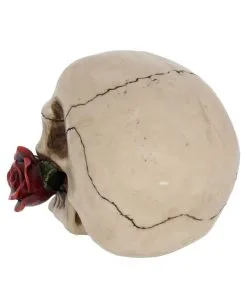 Beiger Totenschädel Mit Roter Rose 15cm -Grusel Dekor Geschaft beiger totenkopf mit roter rose beiger totenschaedel mit roter rose antic skull with red rose 53389 04