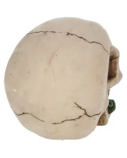 Beiger Totenschädel Mit Roter Rose 15cm -Grusel Dekor Geschaft beiger totenkopf mit roter rose beiger totenschaedel mit roter rose antic skull with red rose 53389 05