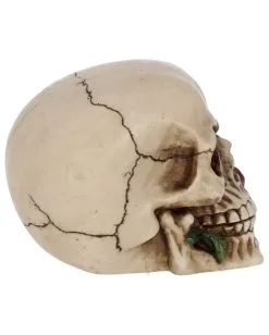 Beiger Totenschädel Mit Roter Rose 15cm -Grusel Dekor Geschaft beiger totenkopf mit roter rose beiger totenschaedel mit roter rose antic skull with red rose 53389 06