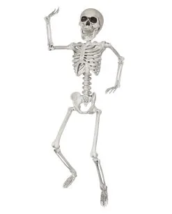 Halloween Kunststoff Skelett 60cm