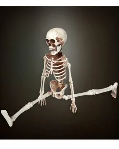 Bewegliches Skelett Gerippe 40cm -Grusel Dekor Geschaft bewegliches skelett 40cm posable skeleton 40cm halloween deko skelett deko 52010 03