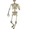 Lebensgroßes Skelett Biegsam -Grusel Dekor Geschaft biegsames skelett lebensgross halloween deko posaable skeleton life size 27430