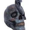 Schuppige Schlange In Totenkopf 19cm 2 Schuppige Schlange In Totenkopf 19cm -Grusel Dekor Geschaft das schicksal der schlange gothic schaedel 19cm serpentine fate gothic snake skull gothic deko totenkopf 53993