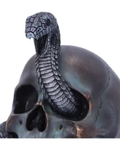 Schuppige Schlange In Totenkopf 19cm -Grusel Dekor Geschaft das schicksal der schlange gothic schaedel 19cm serpentine fate gothic snake skull gothic deko totenkopf 53993 5