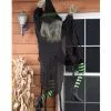 Kletternde Hexe 152 Cm -Grusel Dekor Geschaft fassadenkletter hexe climbing witch 28386