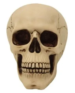 Graveyard Totenschädel Large -Grusel Dekor Geschaft graveyard totenkopf large graveyard totenschaedel graveyard skull large gothic deko 52351 02