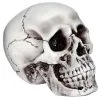 Beiger, Realistischer Totenkopf -Grusel Dekor Geschaft halloween totenschaedel halloween totenkopf halloween deko realistic skull 21539 01