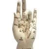 Wahrsage & Handlese Hand 1 Wahrsage & Handlese Hand -Grusel Dekor Geschaft handlese und wahrsage hand gothic deko halloween tischdekoration 50340 01