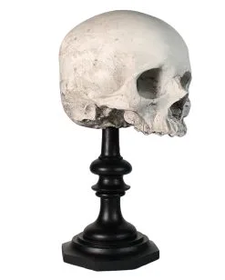 J. DOE Totenschädel Auf Sockel 20cm -Grusel Dekor Geschaft j doe totenkopf auf sockel j doe totenschaedel auf sockel j doe skull plinth gothic homware 54857 01