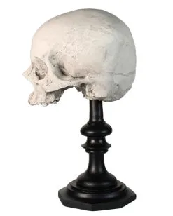 J. DOE Totenschädel Auf Sockel 20cm -Grusel Dekor Geschaft j doe totenkopf auf sockel j doe totenschaedel auf sockel j doe skull plinth gothic homware 54857 02
