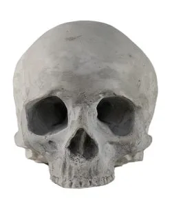 J. DOE Totenschädel 17cm 7 J. DOE Totenschädel 17cm -Grusel Dekor Geschaft j doe totenkopf j doe totenschaedel ghotic totenkopf gothic wohnaccessoire gothic homware 54856 03