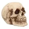 Kleiner Grinsender Totenkopf 12cm -Grusel Dekor Geschaft kleiner grinsender totenschaedel small joker skull totenkopf dekoration gothic deko 50730 01
