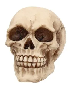 Kleiner Grinsender Totenkopf 12cm -Grusel Dekor Geschaft kleiner grinsender totenschaedel small joker skull totenkopf dekoration gothic deko 50730 02