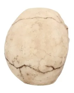 Kleiner Grinsender Totenkopf 12cm -Grusel Dekor Geschaft kleiner grinsender totenschaedel small joker skull totenkopf dekoration gothic deko 50730 05