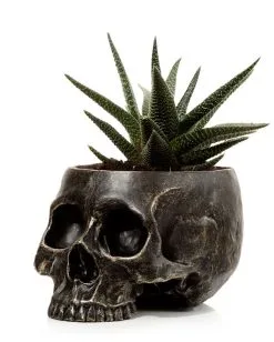 Marmorierter Gothic Totenschädel Pflanzentopf 9 Marmorierter Gothic Totenschädel Pflanzentopf -Grusel Dekor Geschaft marmorierter gothic totenkopf pflanzenschale gothic totenschaedel pflanzenschale gothic skull plant pot 54615 02