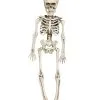 Hängefigur Mini Skelett 40cm -Grusel Dekor Geschaft mini skelett torso haengefigur 40cm plastic skeleton halloween decoration halloween partyzubehoer 35972
