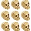 Mini Totenschädel Im Netz 2 Mini Totenschädel Im Netz -Grusel Dekor Geschaft mini totenkoepfe im netz kleine totenschaedel im netz mini skulls 21585 3