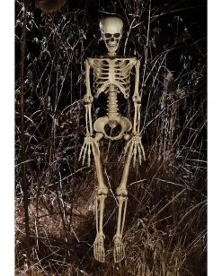 Bewegliches Knochenskelett 90cm -Grusel Dekor Geschaft positionierbares knochenskelett halloween deko skelett mit beweglichen gelenken halloween und horror deko 52003 2