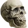 Verwitterter Skull Totenkopf -Grusel Dekor Geschaft rotting skull totenschaedel verwitterter totenkopf halloween deko 28000