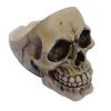 Aschenbecher Totenschädel -Grusel Dekor Geschaft schaedel aschenbecher totenkopf dekoration skeleton ash tray 27476