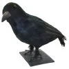 Rabe Schwarz 32 Cm -Grusel Dekor Geschaft schwarzer rabe halloween deko realistic crow halloween decoration 10472