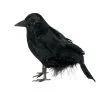 Schwarzer Rabe 15 Cm -Grusel Dekor Geschaft schwarzer rabe mit echten federn als halloween dekoration 22389