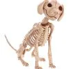 Sitzendes Hundeskelett 30 Cm 1 Sitzendes Hundeskelett 30 Cm -Grusel Dekor Geschaft sitzendes hunde skelett halloween deko skeleton sitting puppy halloween deco 38862 01