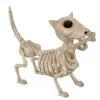 Hunde Skelett Mit Knochen 27cm -Grusel Dekor Geschaft skelett hund mit knochen hunde skelett mit knochen skeleton dog with bone 52641 01