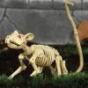 Ratten Skelett 20cm 2 Ratten Skelett 20cm -Grusel Dekor Geschaft skelett ratte 20cm ungeziefer dekoration knochengerippe halloween deko skeleton rat 35974