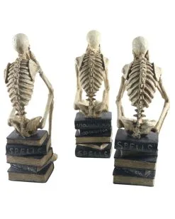 Skelette Auf Bücher Sitzend 3 Stück Als Set 35cm 7 Skelette Auf Bücher Sitzend 3 Stück Als Set 35cm -Grusel Dekor Geschaft skelette auf buecher sitzend skeleton sitting on books skelett deko 54789 03