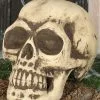 Totenschädel 32cm -Grusel Dekor Geschaft totenkopf 32cm totenschaedel halloween dekoration skull decoration 35978