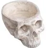 Totenschädel Schale 28cm -Grusel Dekor Geschaft totenkopf schale totenschaedel schale skull planter totenkopf dekoration 51403 01
