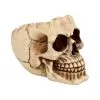 Realistische Totenschädel Schale Mit Offener Schädeldecke -Grusel Dekor Geschaft totenschaedel schale mit offener schaedeldecke realistic skull mug morbide gothic deko halloween deko totenschaedel 39289