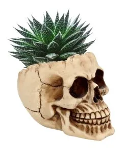 Realistische Totenschädel Schale Mit Offener Schädeldecke -Grusel Dekor Geschaft totenschaedel schale mit offener schaedeldecke realistic skull mug morbide gothic deko halloween deko totenschaedel 39289 2