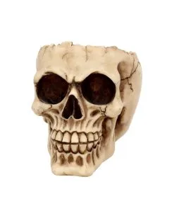 Realistische Totenschädel Schale Mit Offener Schädeldecke -Grusel Dekor Geschaft totenschaedel schale mit offener schaedeldecke realistic skull mug morbide gothic deko halloween deko totenschaedel 39289 3