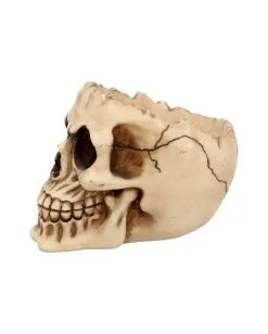 Realistische Totenschädel Schale Mit Offener Schädeldecke -Grusel Dekor Geschaft totenschaedel schale mit offener schaedeldecke realistic skull mug morbide gothic deko halloween deko totenschaedel 39289 4