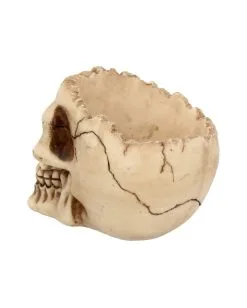 Realistische Totenschädel Schale Mit Offener Schädeldecke -Grusel Dekor Geschaft totenschaedel schale mit offener schaedeldecke realistic skull mug morbide gothic deko halloween deko totenschaedel 39289 5