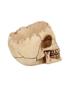 Realistische Totenschädel Schale Mit Offener Schädeldecke -Grusel Dekor Geschaft totenschaedel schale mit offener schaedeldecke realistic skull mug morbide gothic deko halloween deko totenschaedel 39289 6