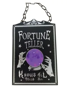 Wahrsage Hinweisschild Mit Licht 40cm