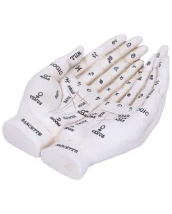 Weiße Chiromantie-Hände Teelichthalter -Grusel Dekor Geschaft weisse handlese haende kerzenhalter weisse chiromantie haende teelichthalter 51058 05