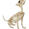 Werwolf Skelett 70cm 1 Werwolf Skelett 70cm -Grusel Dekor Geschaft werwolf skelett werwolf skeleton halloween skelett halloween deko 52649 01