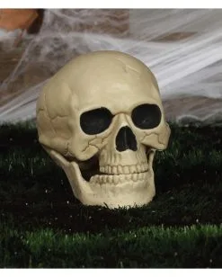 Wetterfester Totenschädel Mit Beweglichem Kiefer 20cm -Grusel Dekor Geschaft wetterfester totenkopf mit beweglichem kiefer weatherproof skull with moveable jaw halloween totenschaedel 53405 04